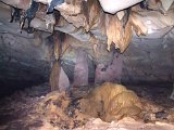 00396-2385 Chamber in Fruitbat Cave - photo by Garry K Smith